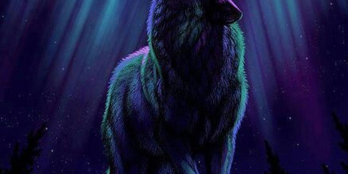 1080x1920 Fire and Ice Wolf Wallpaper (66+ images)
