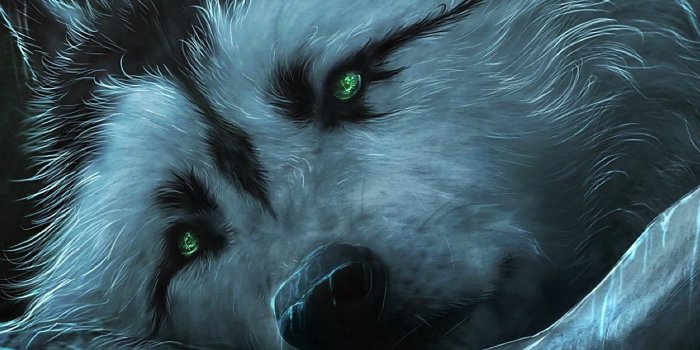 1440x2560 80+ Galaxy Wolf Wallpapers on WallpaperPlay