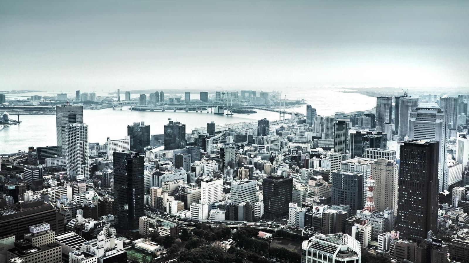 1920x1080 Download wallpaper 1920x1080 skyscrapers, houses, river, top view