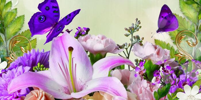 1920x1080 Pink Butterfly Wallpapers Images - Spring Flowers And Butterflies