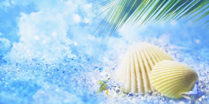 1680x1050 Free Summer Wallpapers For Desktop