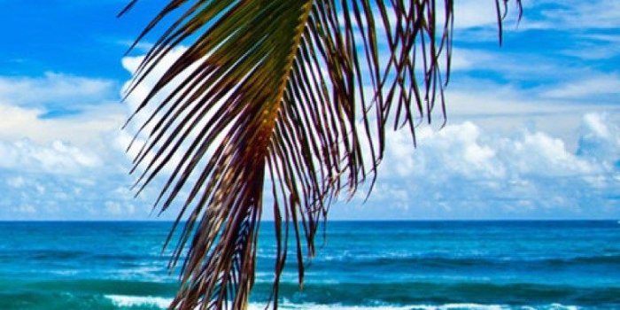 768x1280 Get Summer Beach Wallpapers - Microsoft Store