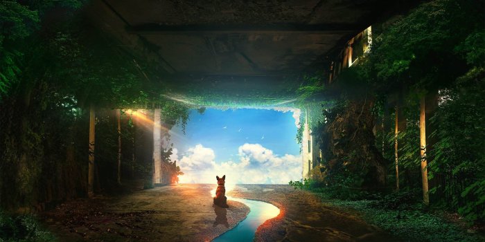 2560x1440 alone 4K wallpapers for your desktop or mobile screen free and easy