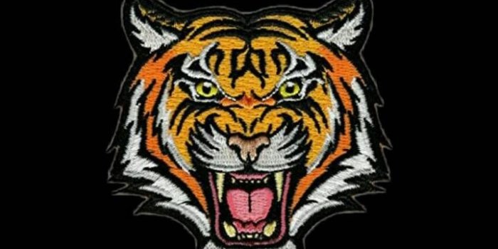 720x1280 Gucci Tiger Wallpaper by Andreagio - bd - Free on ZEDGE™