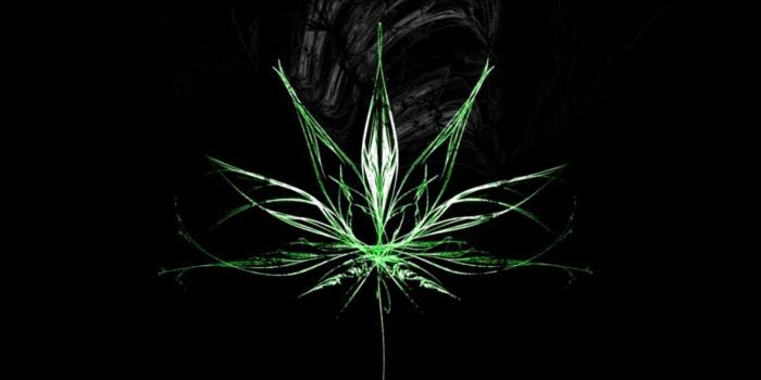 1177x744 Weed 3D Wallpapers