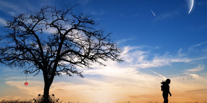 1600x1200 Beautiful Wallpapers: Alone wallpaper