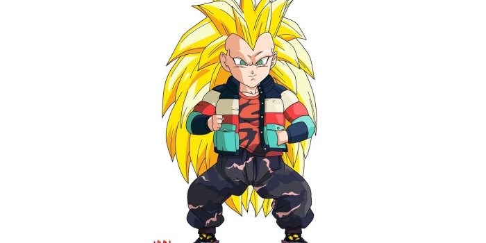 1280x853 Dragon Ball Z Wallpaper: Dragon Ball Z x HMN ALNS quot;Fusionquot