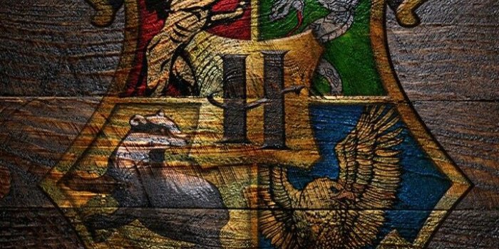 720x1280 Hogwarts Logo Wallpaper (28+ images) on Genchi.info
