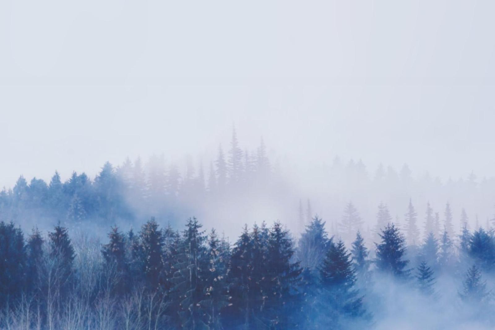 1629x1086 Bts Desktop Wallpaper Computer - Bts Desktop Wallpaper Wings