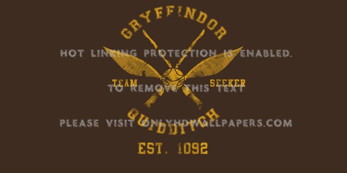 1366x768 harry potter Quidditch Gryffindor