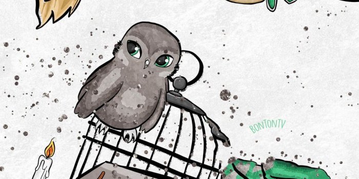 1080x1920 Phone Wallpapers HD Cute Glitter Harry Potter Slytherin Background