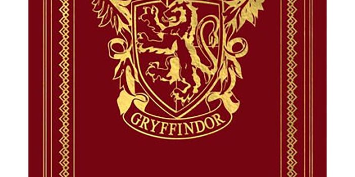 1750x2500 Harry Potter: House Gryffindor Desktop Stationery Set