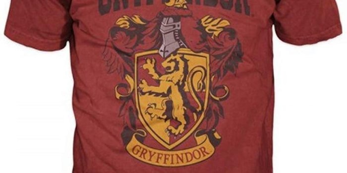 817x1000 Harry Potter Gryffindor Mens Red T-Shirt
