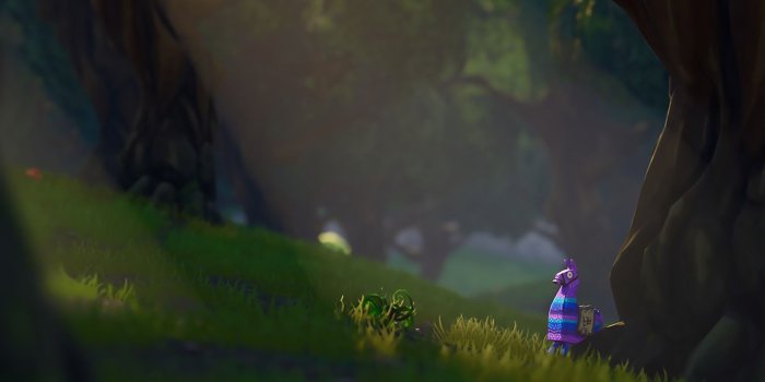 1920x1080 Fortnite Lama Wallpapers
