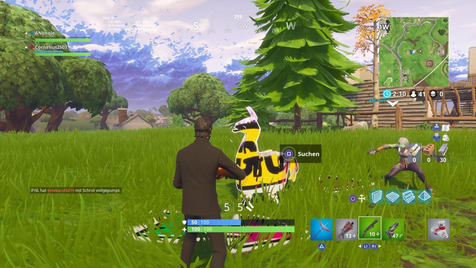 1920x1080 Apparently you can also paint Llamas : FortNiteBR