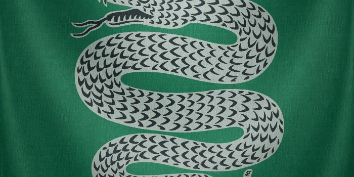 2048x2048 Slytherin Snake Wallpaper | Slytherin | Snake wallpaper, Slytherin