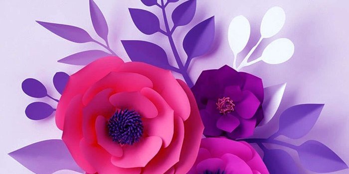 1125x2436 Flowers for iPhone X wallpapers