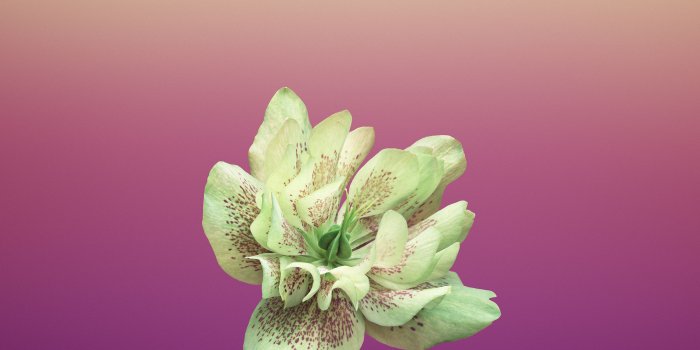 2706x2706 Download the new iOS 11 wallpapers