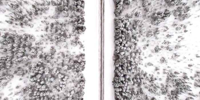 1125x2436 25+ Best Aesthetic iPhone Wallpapers - Templatefor