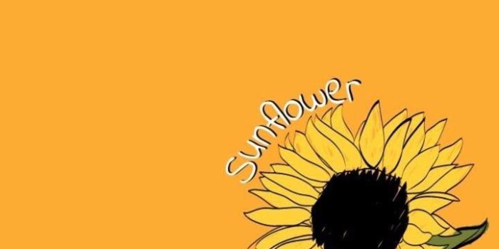 720x1280 Aesthetic Yellow Sunflower Background (#144360) - HD Wallpaper Download