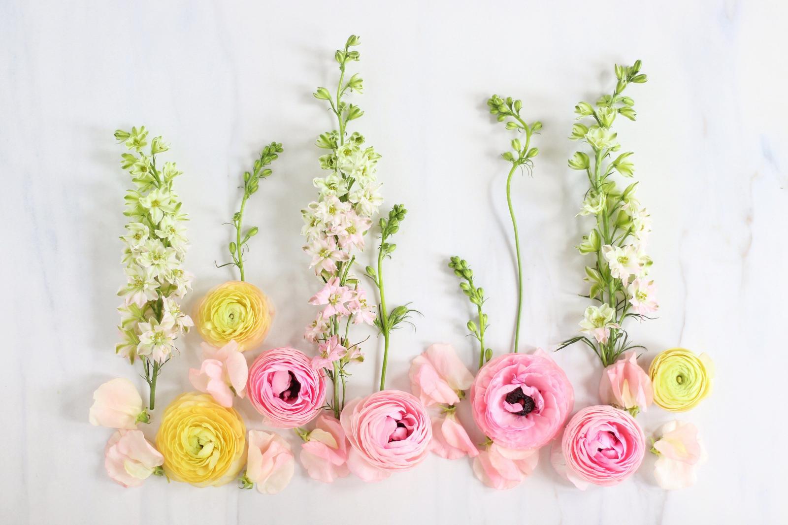 5028x3350 Pastel Aesthetic Desktop Wallpaper Hd