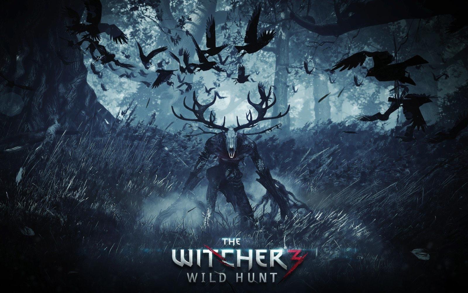 1920x1200 653 The Witcher 3: Wild Hunt HD Wallpapers | Background Images