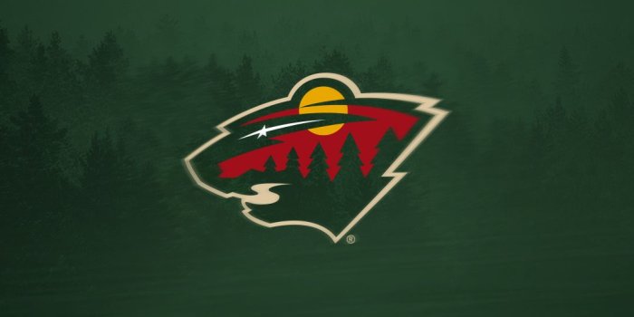 1080x1920 Desktop & Mobile Wallpapers | Minnesota Wild