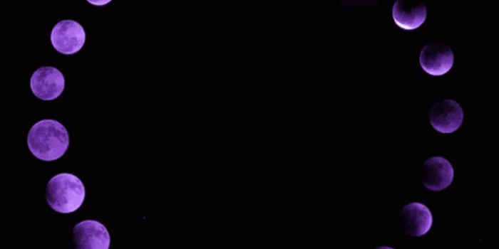 719x1280 wallpaper black | Tumblr | aesthetic | Purple aesthetic, Violet