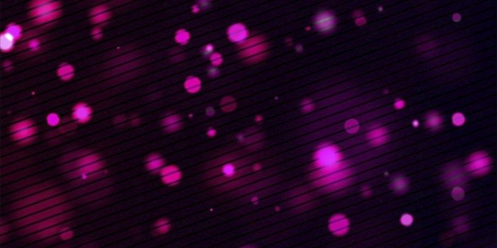 1080x1920 82+ Purple Phone Wallpapers on WallpaperPlay