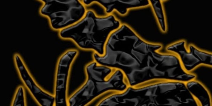 720x1280 Music/Sepultura (720x1280) Wallpaper ID: 610372