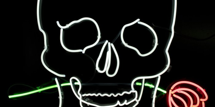 1346x2010 Skull with Rose Neon Sign | Backgrounds | Neon wallpaper, Goth
