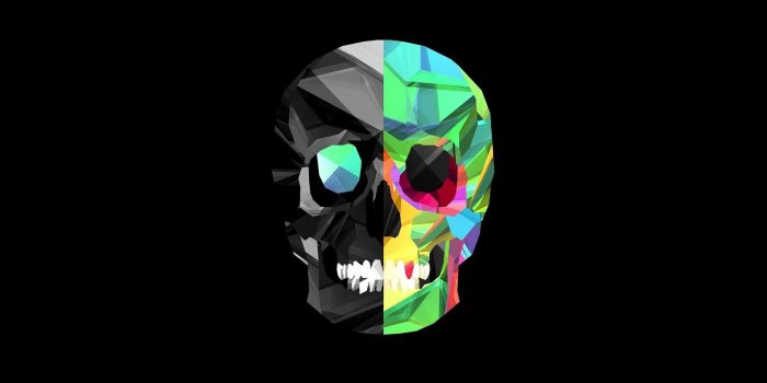 1920x1080 59+ Skull Wallpapers on WallpaperPlay