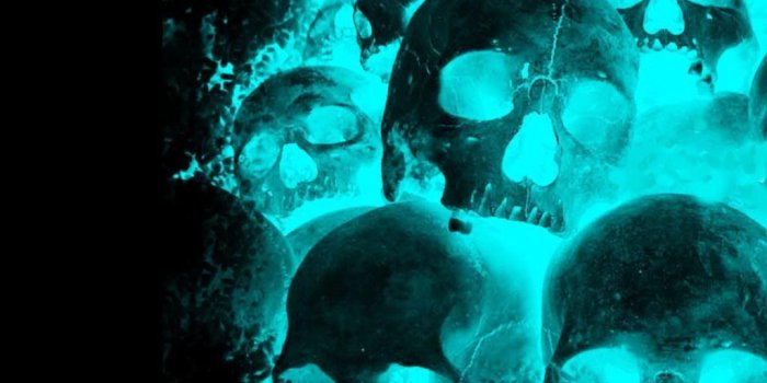 1024x768 Neon Wallpapers Free Wallpaper | Skull wallpaper in 2019 | Skull