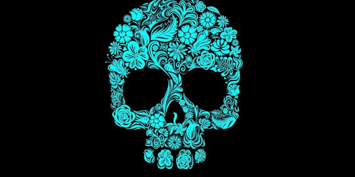 2560x1600 63+ Pink Skull Wallpapers on WallpaperPlay