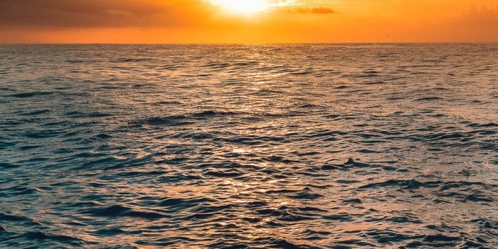 1000x1500 100+ Sun Rise Pictures [HD] | Download Free Images & Stock Photos on