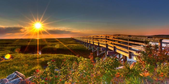 1366x768 Top 5 Sunrise Live Wallpaper Apps for Your Android Devices