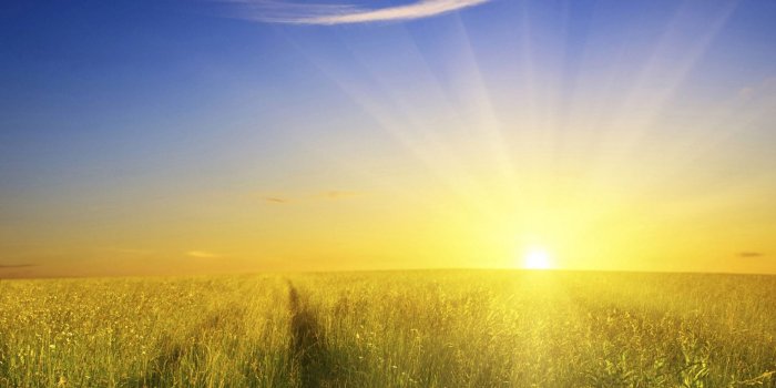 1920x1080 Morning sunrise wallpaper | 1920x1080 | #31023