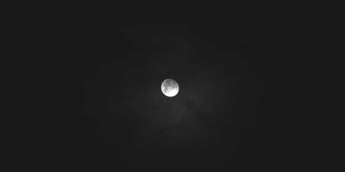 1600x2304 77+ Dark Color Wallpapers on WallpaperPlay