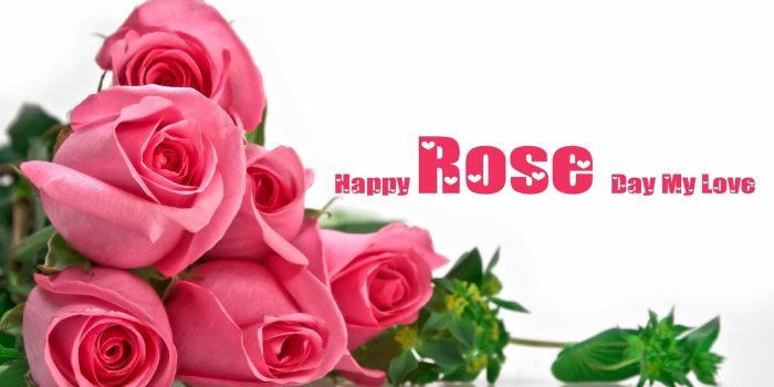 1600x1000 Rose-Day-Special-HD-Wallpaper | 50+ Happy Rose Day Pictures