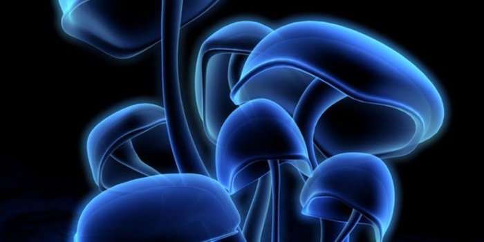 1200x1200 Best 3D Wallpapers Download - Wallpapers Trends Update