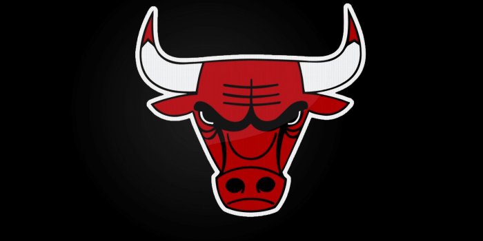 1600x1200 64+] Chicago Bulls Logo Wallpaper on WallpaperSafari