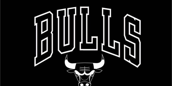 1920x1080 Bulls Logo Wallpaper (64+ images)