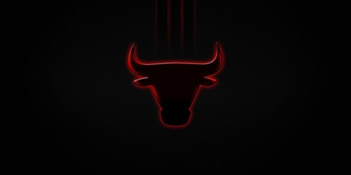 1600x1200 Chicago Bulls Wallpapers HD
