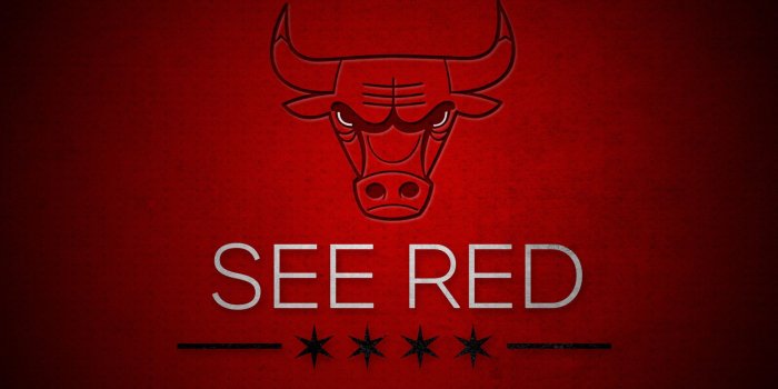 1920x1080 Bulls Logo Wallpaper (63+ pictures)