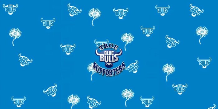2048x1152 Blue Bulls Wallpapers (55+ pictures)