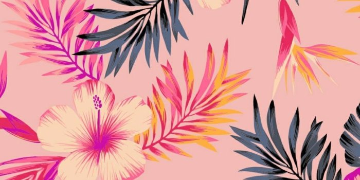 1080x2076 Pink Nation | Pink brand logo Wallpaper | Wallpapers in 2019 | Pink