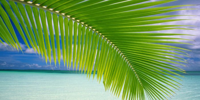 1920x1440 Windows Vista Default Wallpapers - OS Wallpapers