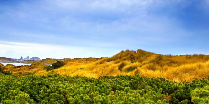 1280x800 Windows Vista wallpapers | Windows Vista stock photos