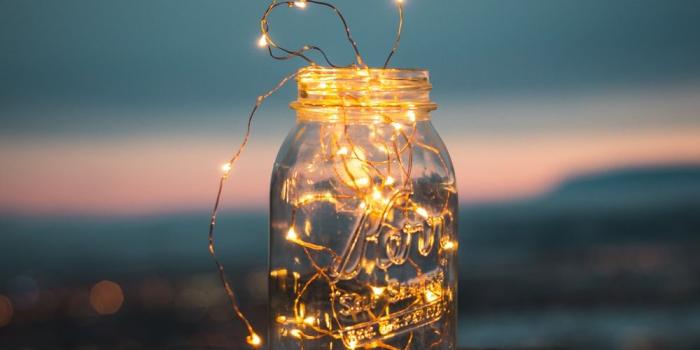 1000x1500 20+ Best Free Fairy Lights Pictures on Unsplash