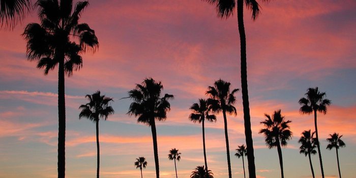 1024x768 Cali Wallpapers - Top Free Cali Backgrounds - WallpaperAccess